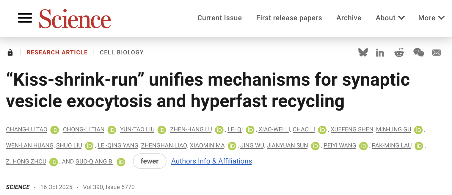 Science丨深圳先进院脑所/深港脑院联合中国科大破解神经突触传递机制
