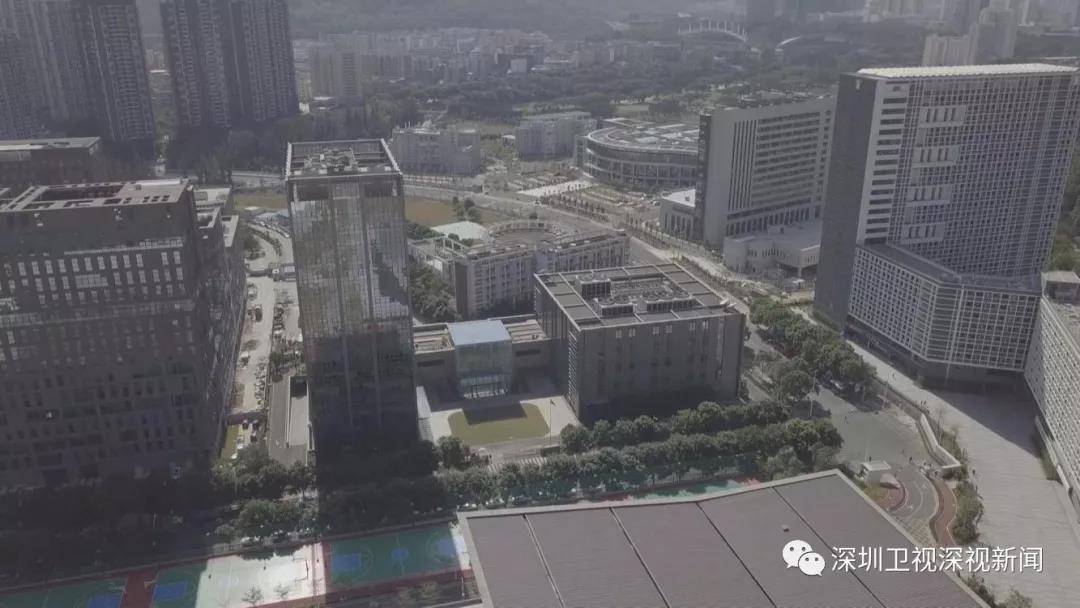 深圳卫视深视新闻：科学界“最强大脑”齐聚深圳 原来是为了这件“头等大事”