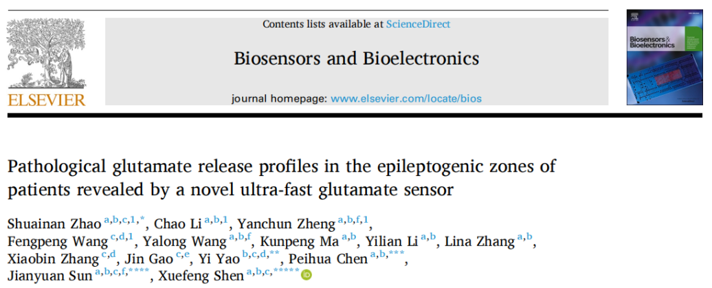 Biosensors and Bioelectronics丨深圳先进院脑所/深港脑院申雪峰/陈培华/孙坚原团队揭示癫痫患者致痫灶内的病理性谷氨酸释放特征