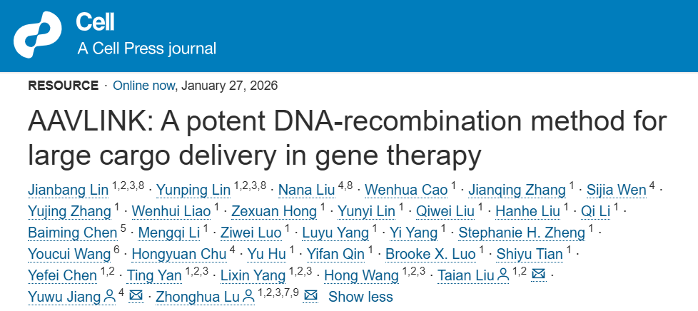 Cell | 深港脑院路中华团队突破AAV大载荷高效递送技术，开启大片段基因治疗新篇章