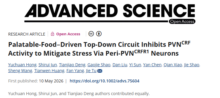 Advanced Science丨“别让压力压垮你，享受美食”——深圳先进院脑所/深港脑院屠洁团队揭示美食缓解焦虑情绪的神经机制